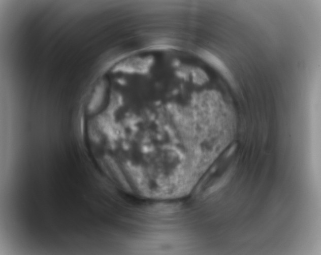 X0000089881419200707191948