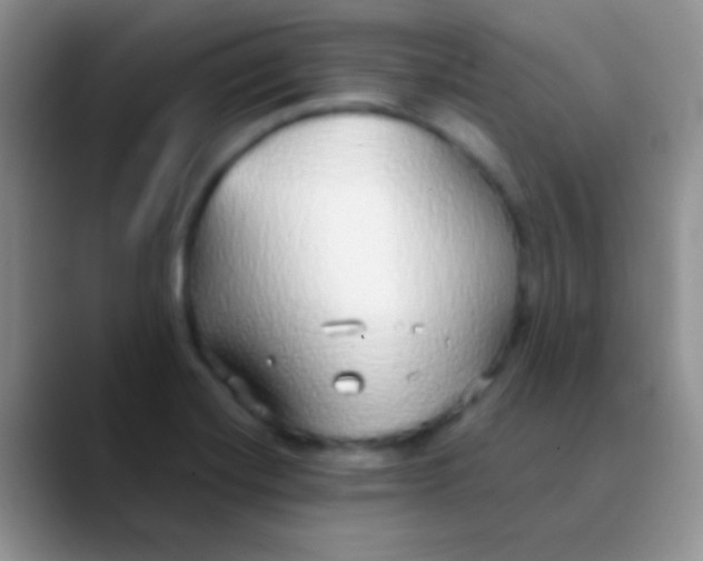 X0000089881420200707191948