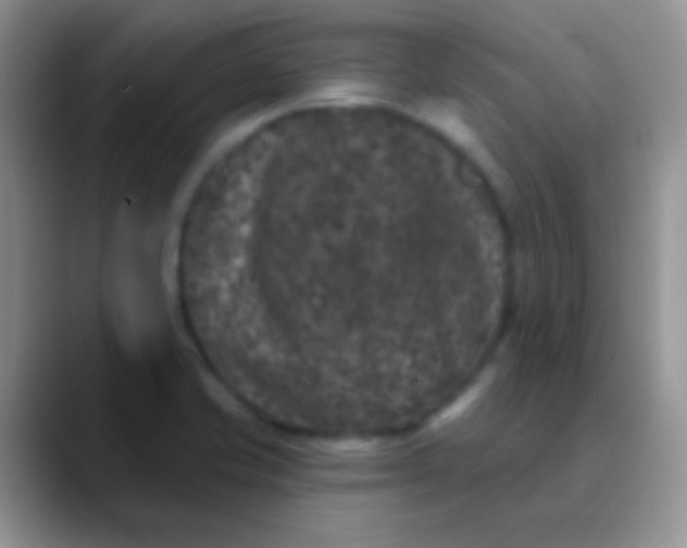 X0000089881421200707191948