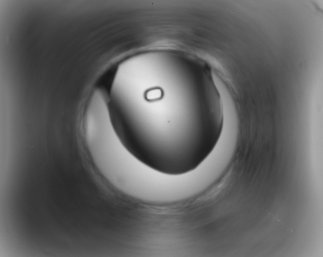 X0000089881422200707191948