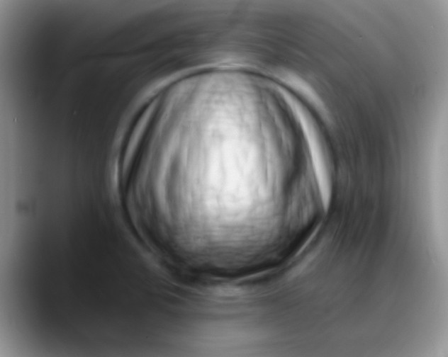 X0000089881424200707191948