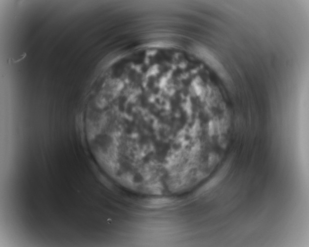 X0000089881425200707191948