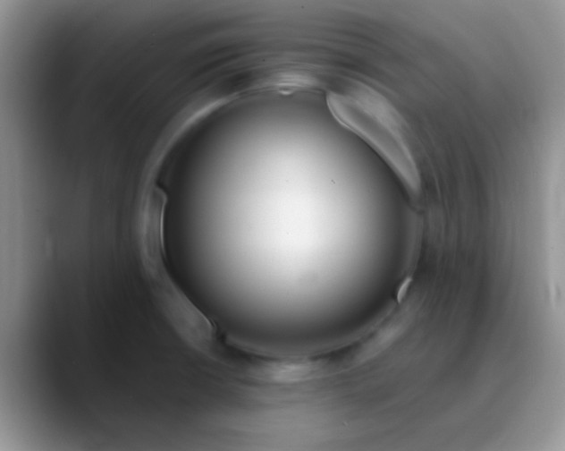 X0000089881426200707191948