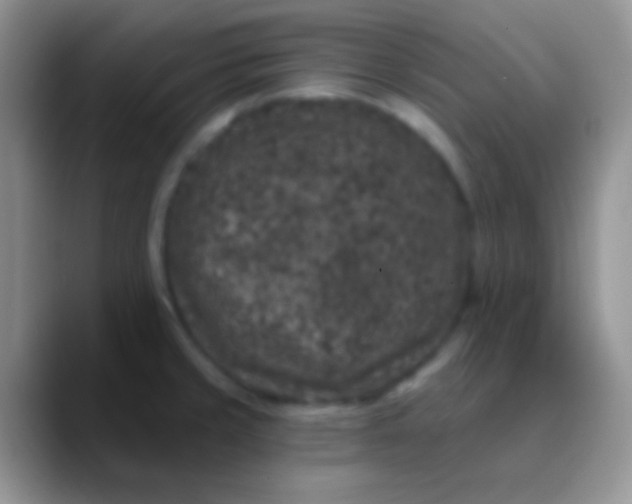 X0000089881429200707191948