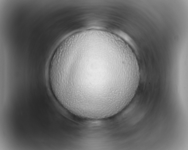 X0000089881431200707191948