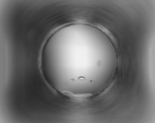 X0000089881432200707191948