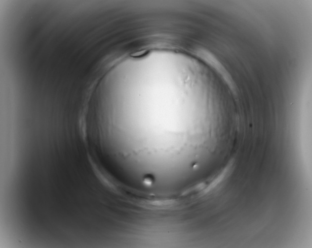 X0000089881433200707191948