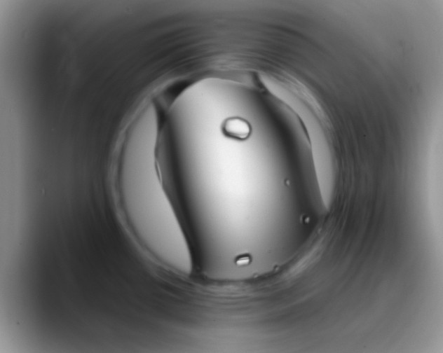 X0000089881434200707191948