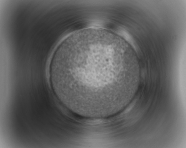 X0000089881435200707191948