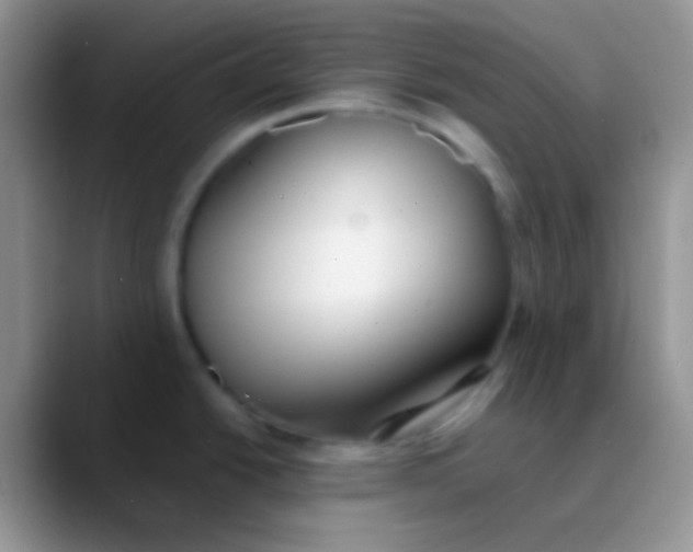 X0000089881438200707191948