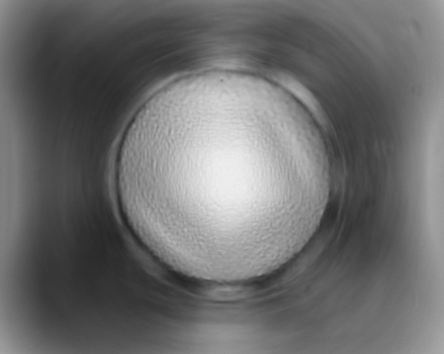 X0000089881439200707191948