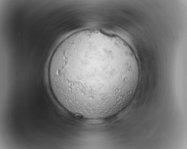 X0000089881440200707191948