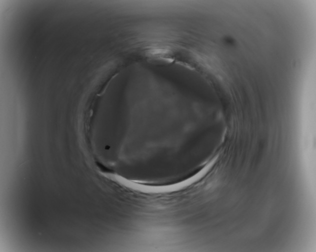 X0000089881441200707191948