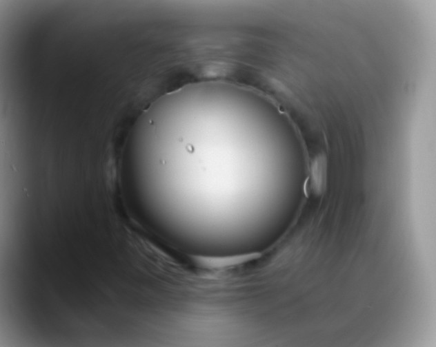 X0000089881443200707191948