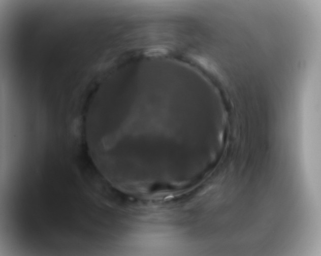 X0000089881445200707191948