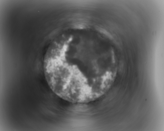 X0000089881446200707191948