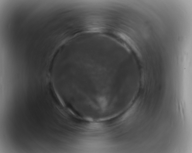 X0000089881449200707191948