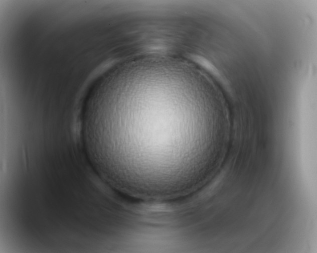 X0000089881450200707191948