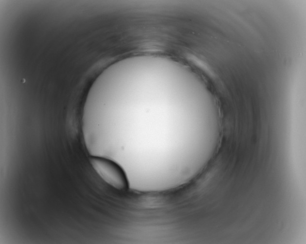 X0000089881451200707191948