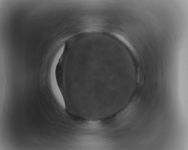 X0000089881453200707191948