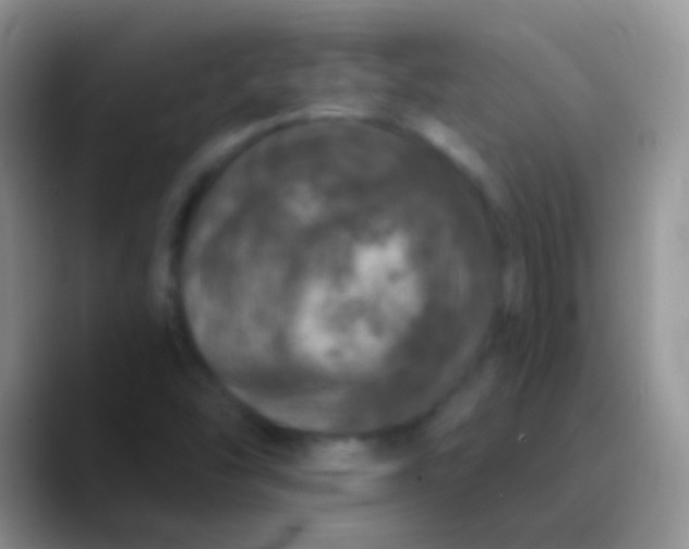 X0000089881454200707191948