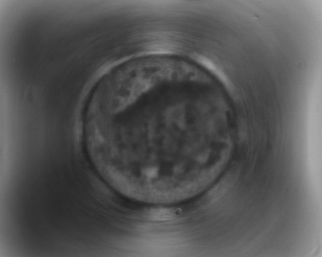 X0000089881459200707191947