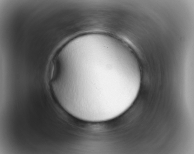 X0000089881460200707191947