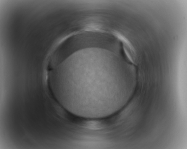 X0000089881461200707191947