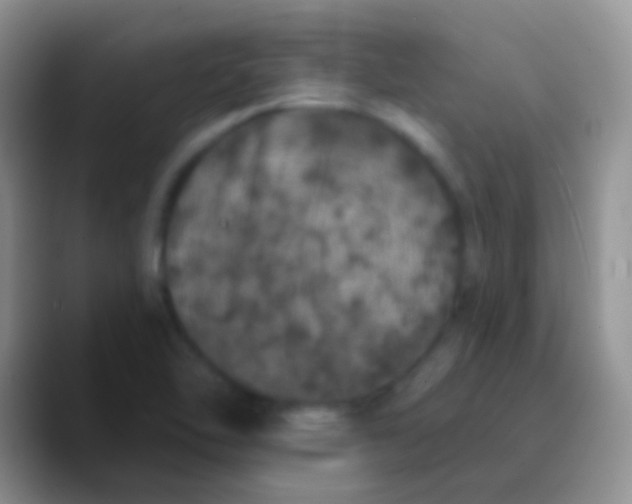 X0000089881462200707191947