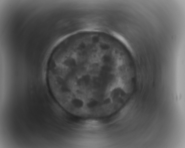 X0000089881463200707191947