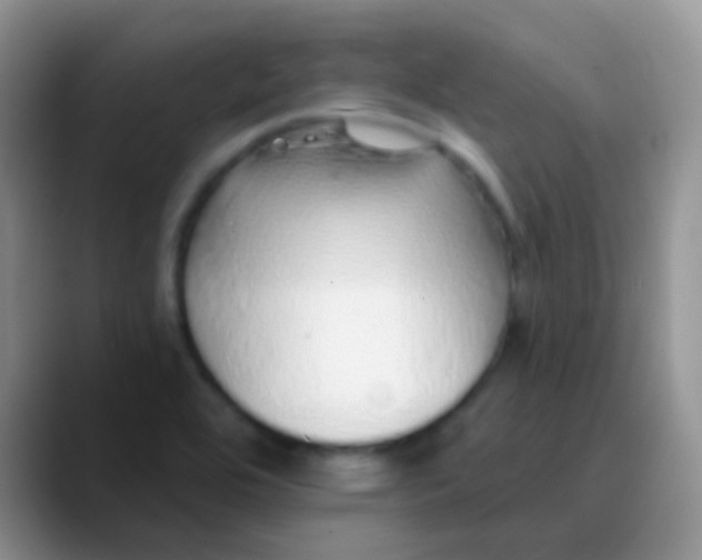 X0000089881464200707191947