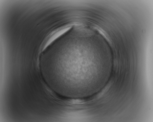 X0000089881465200707191947