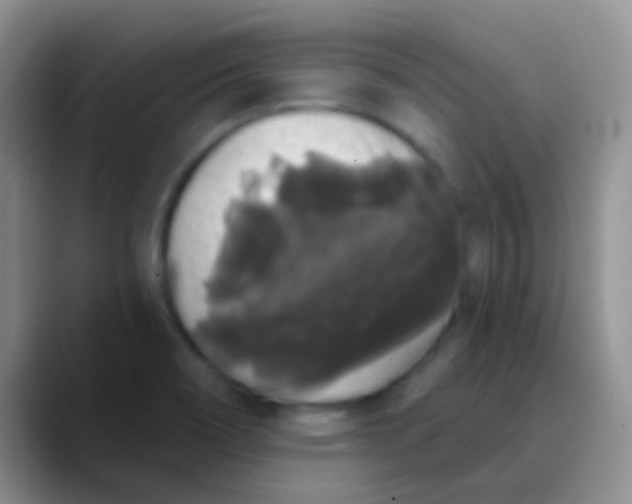 X0000089881466200707191947