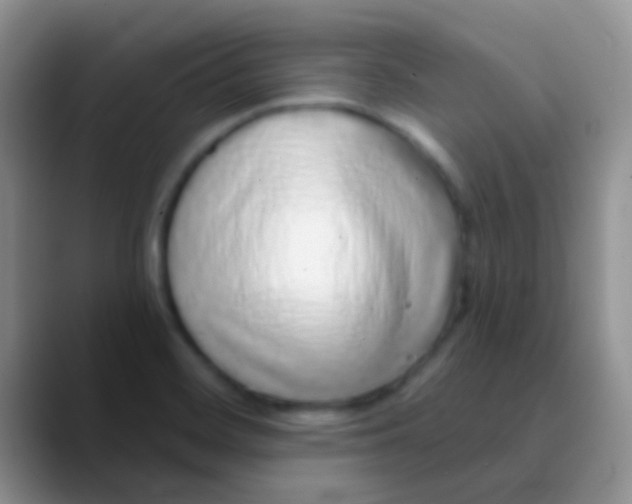 X0000089881468200707191947