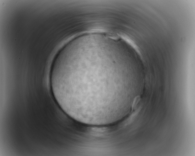 X0000089881469200707191947