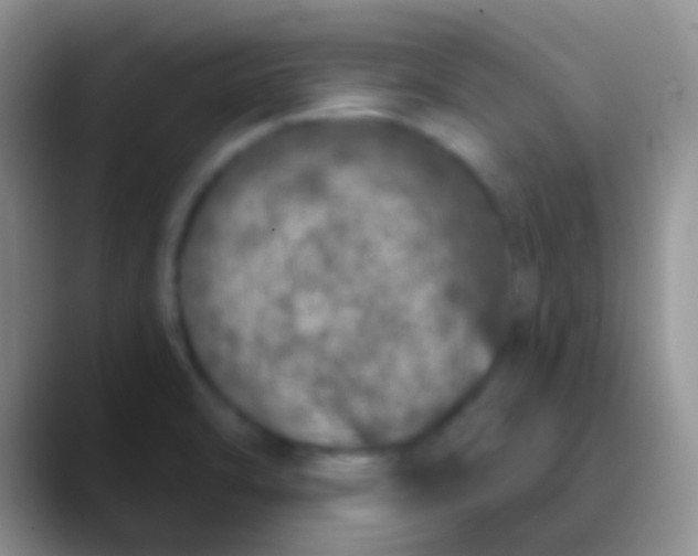 X0000089881470200707191947