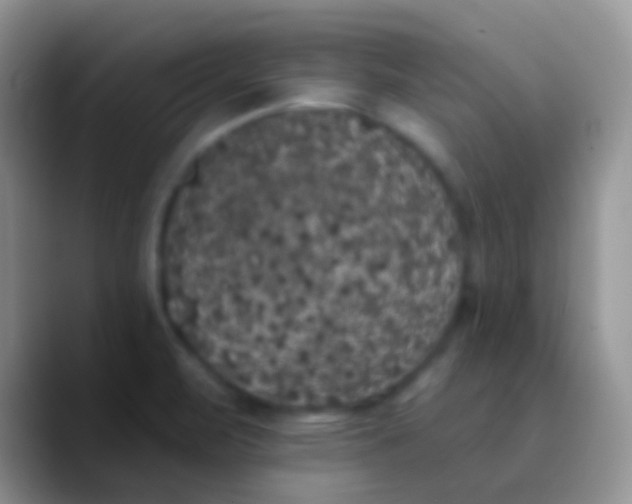 X0000089881471200707191947