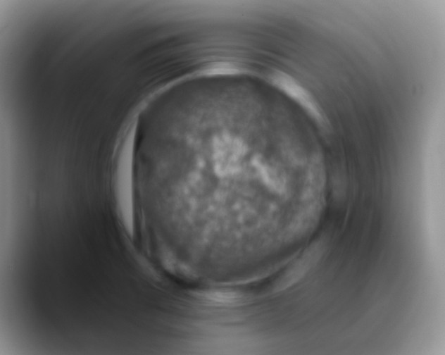 X0000089881473200707191947