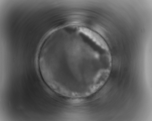 X0000089881474200707191947