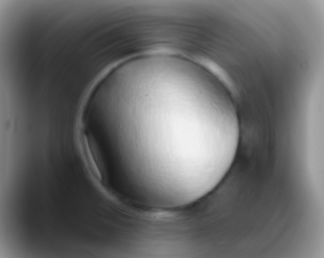 X0000089881476200707191947