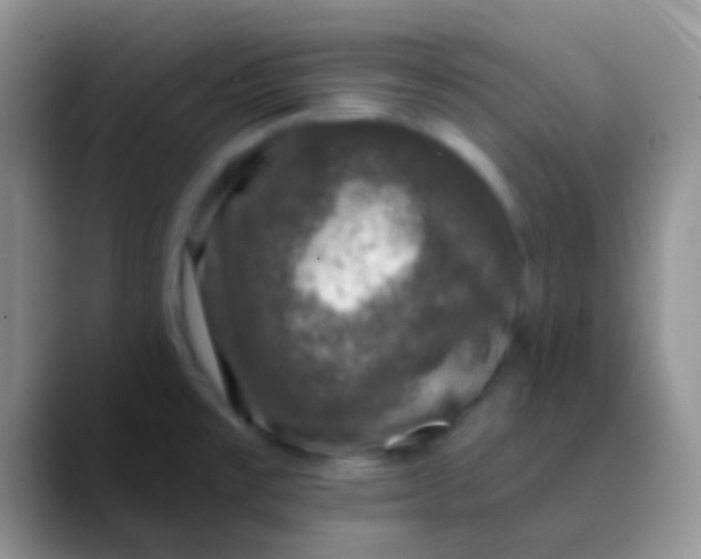 X0000089881477200707191947