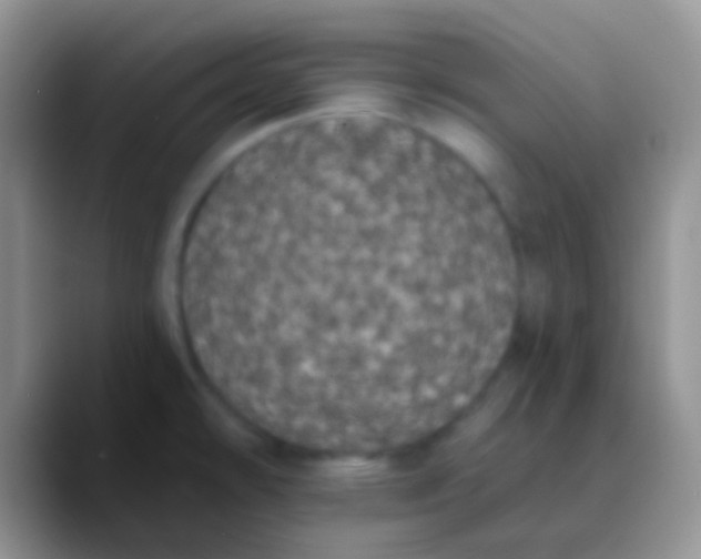 X0000089881478200707191947