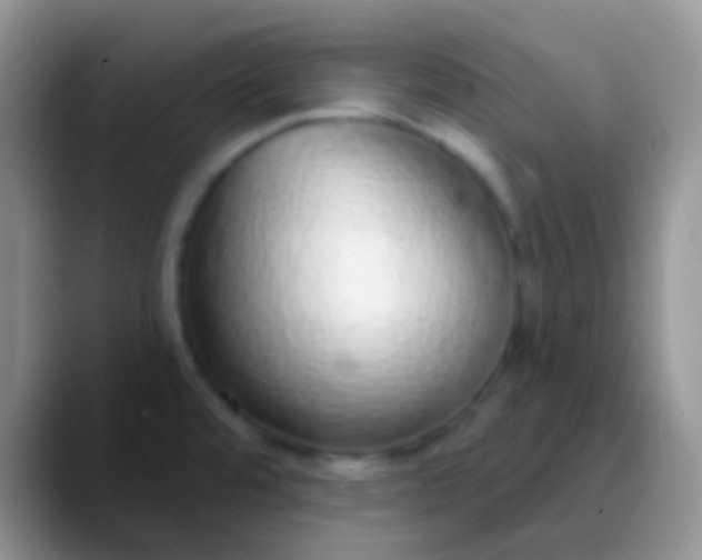 X0000089881480200707191947