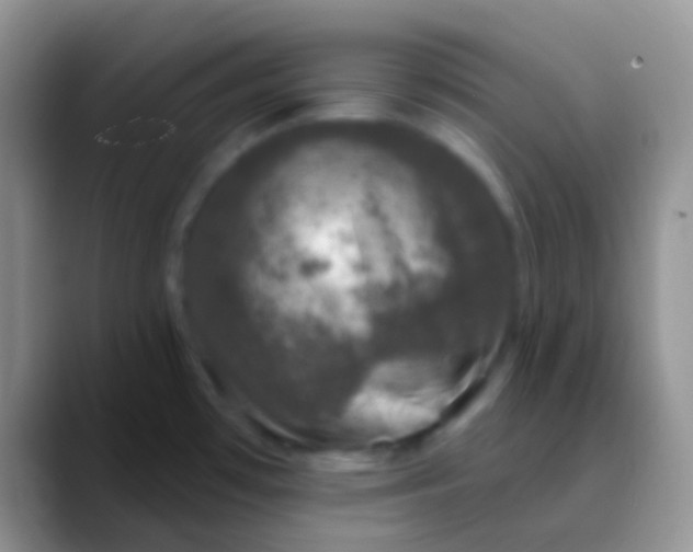 X0000089881481200707191947