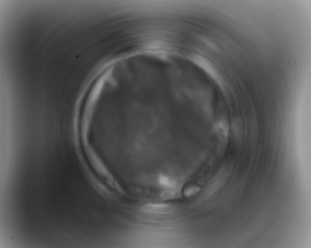 X0000089881482200707191947