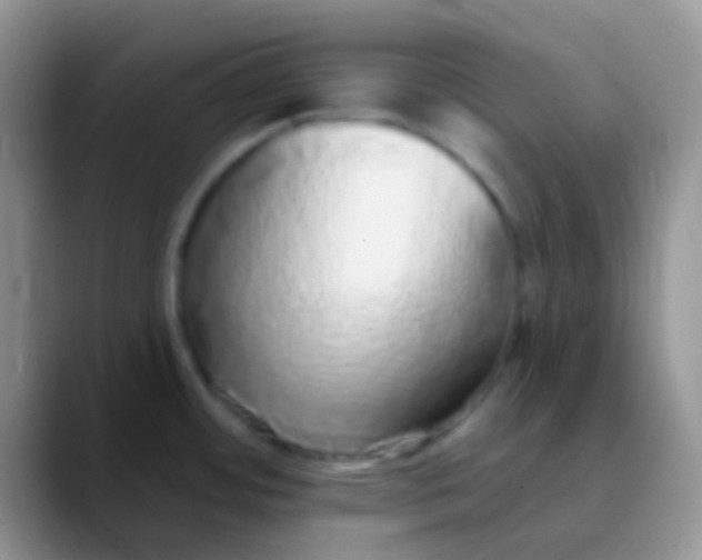 X0000089881484200707191947