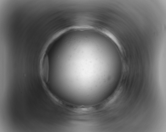 X0000089881485200707191947