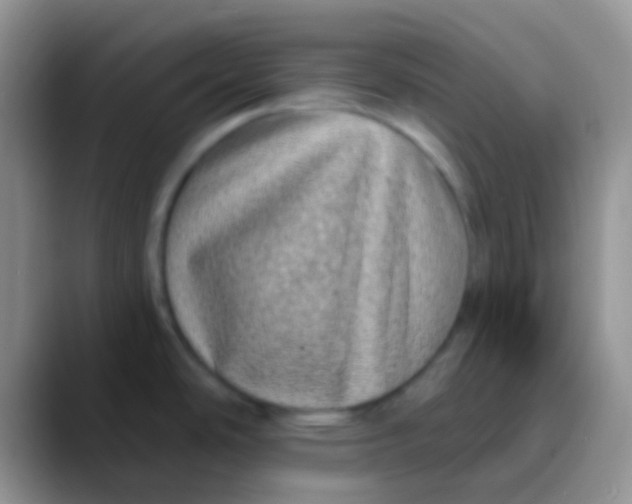 X0000089881486200707191947