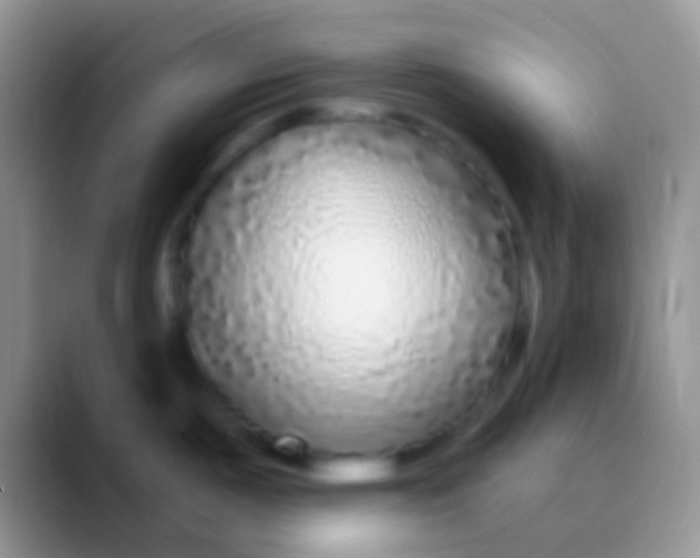 X0000089881487200707191947