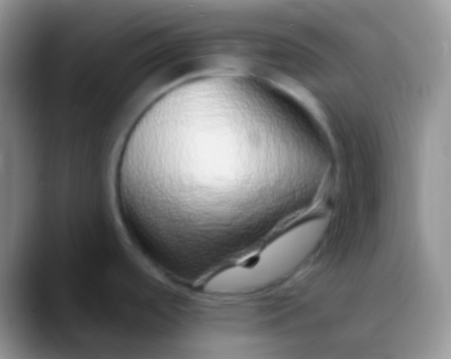 X0000089881488200707191947